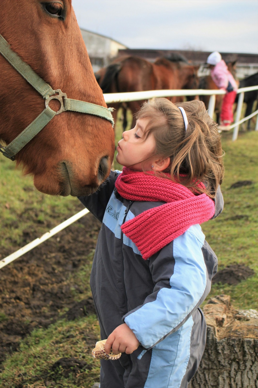 Mädchen gibt einem Pferd einen Kuss auf die Nase